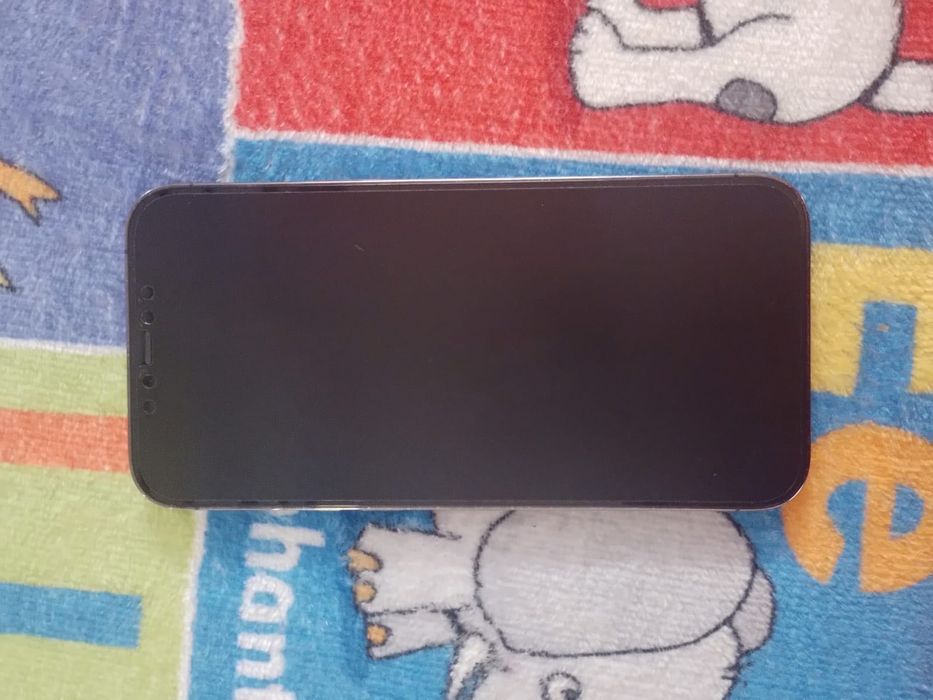 iPhone 12 Pro Max