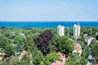 Sopot-kilka ofert. Szeroki widok na morze, hamak, 12min do plaży