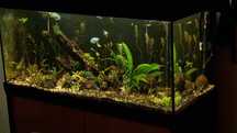 Aquário completo com movel 200L