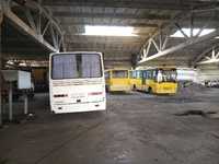Ремонт школьных автобусов микроавтобусов автобусов