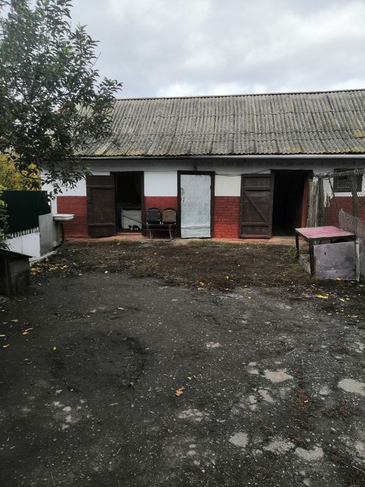 Продається будинок с. Пустовіти