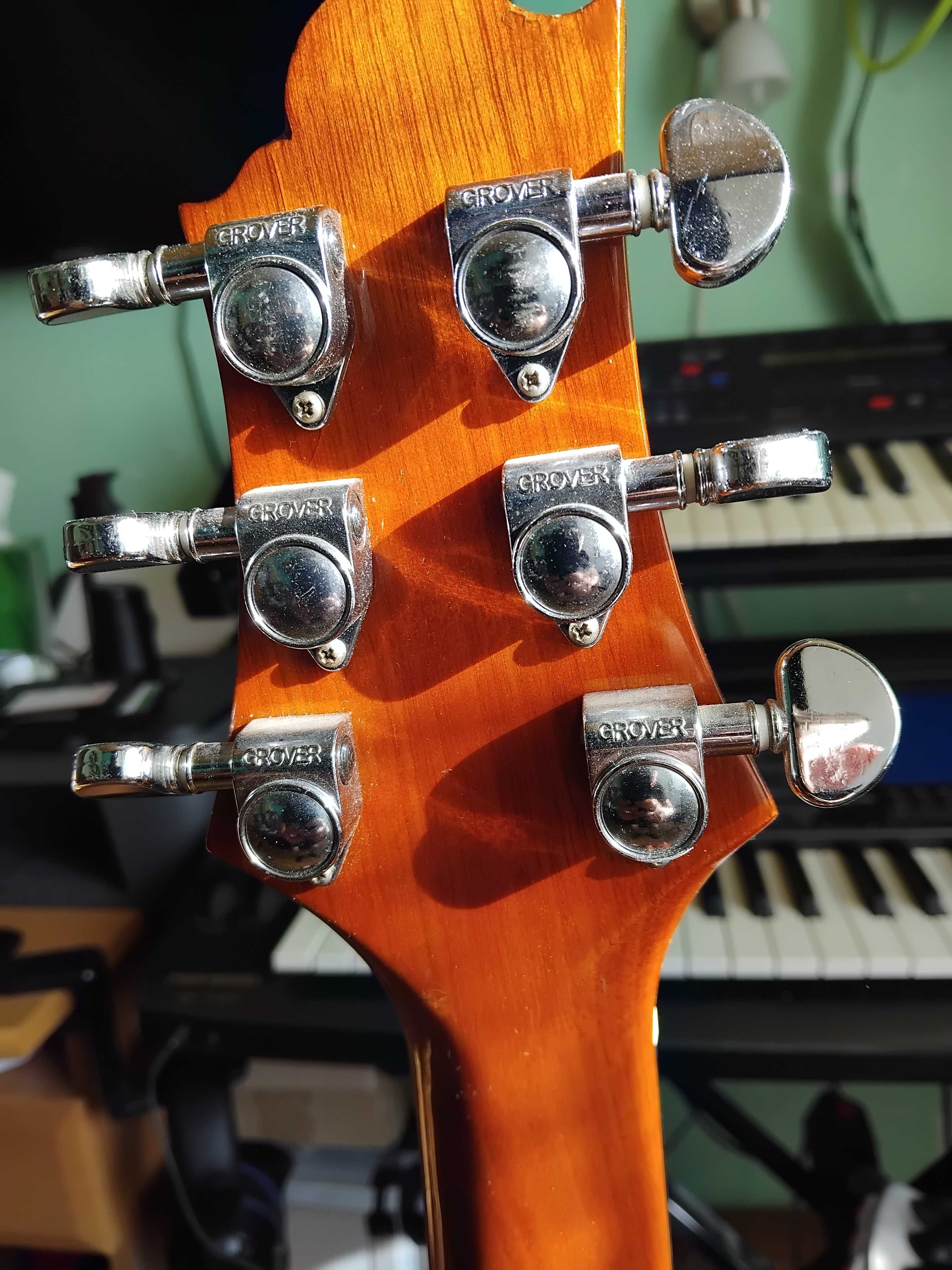 Gitara elektoakustyczna Samick Geeg Bennet