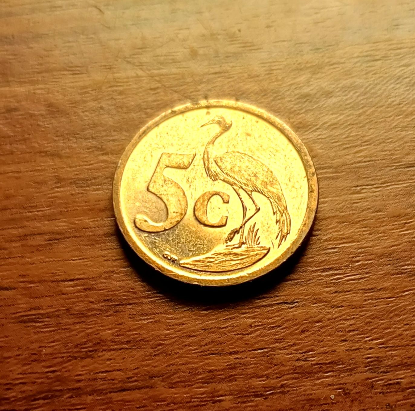 Rand Moneta 5 Cent RPA 2008 Afryka Południowa