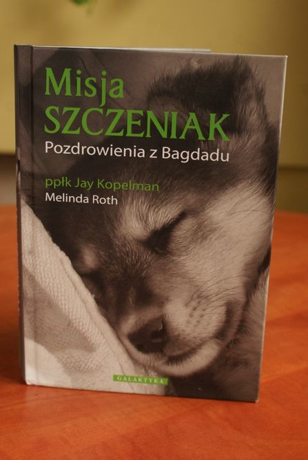 "Misja szczeniak - pozdrowienia z Bagdadu"