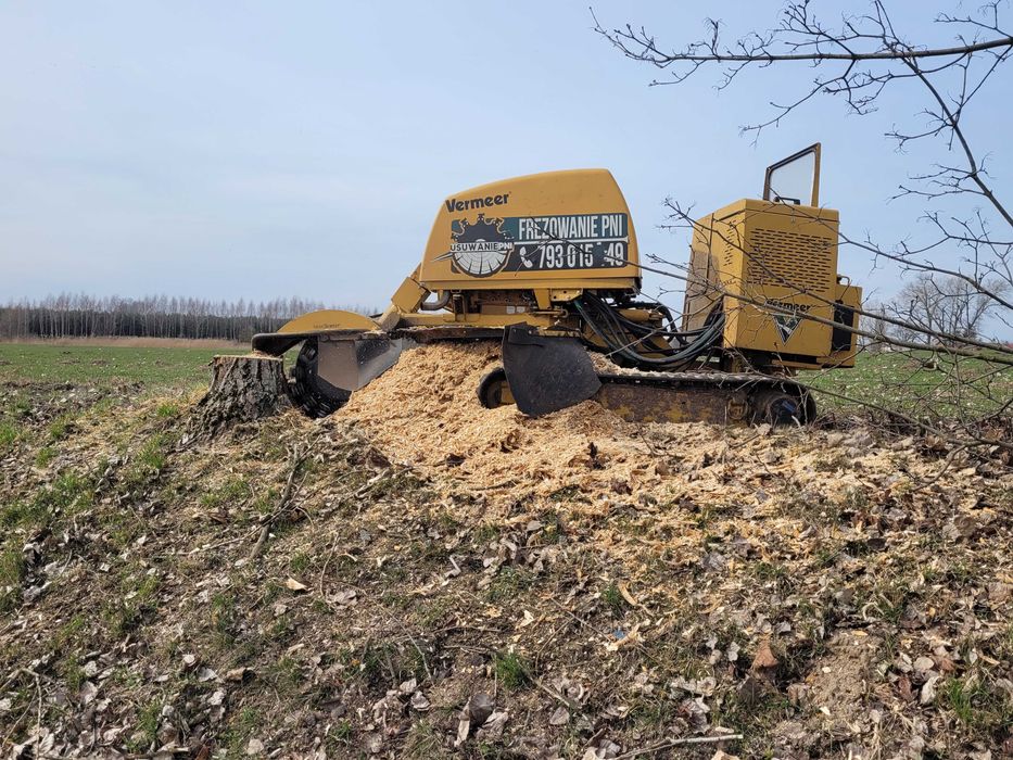 Usługa Frezarką Frezowanie Karp Usuwanie Pni Korzeni