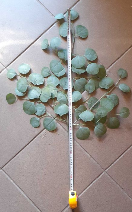 Liść sztuczny eukaliptus