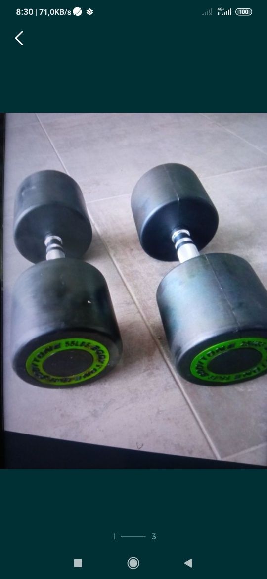 Alteres de 25 kg cada