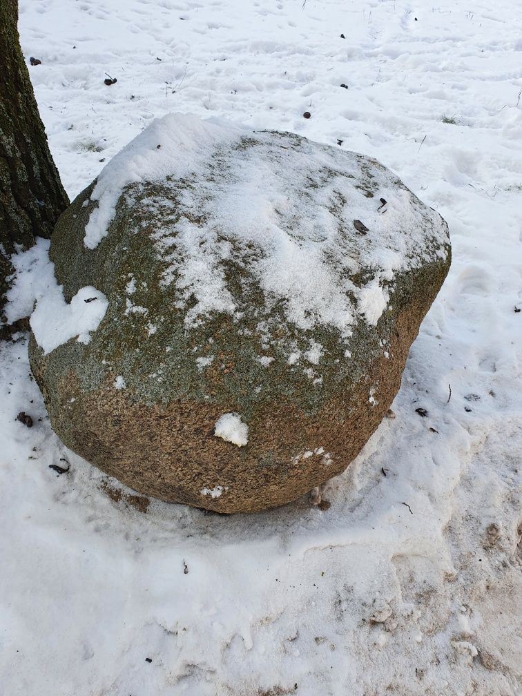 Kamień polny żółty