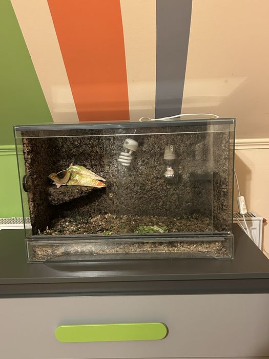 Terrarium dla zwierząt