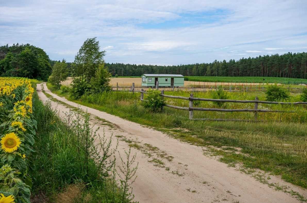 Działka 1000 m2 nad jeziorem przy lesie