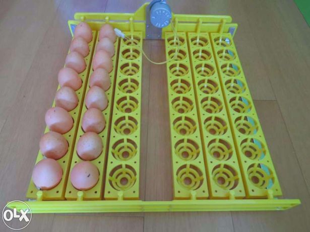 Tabuleiro 48 ovos, c/ motor de viragem automática