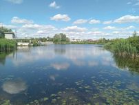 Без % Вихід на Дніпро! 34 сотки електрика Центральна Славутич Осокорки