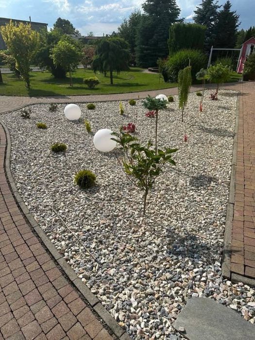 Uslugi ogrodznicze/przycinacie tui/sprzątanie działek/koszenie trawy