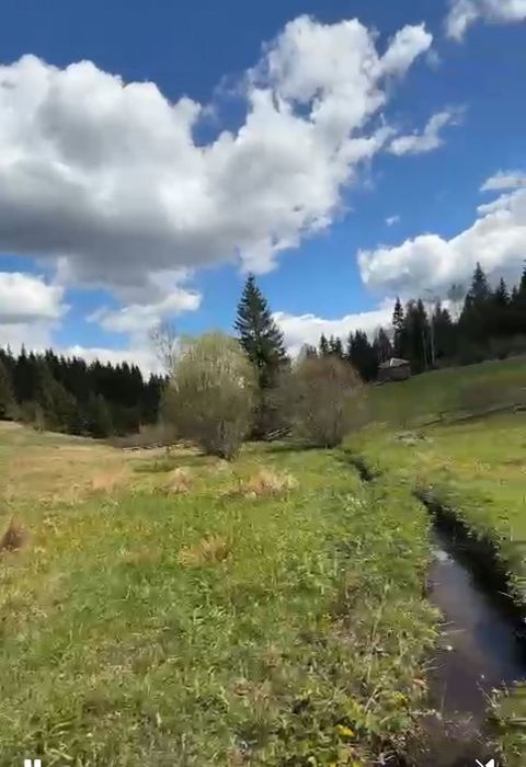 Земельна ділянка з будинком