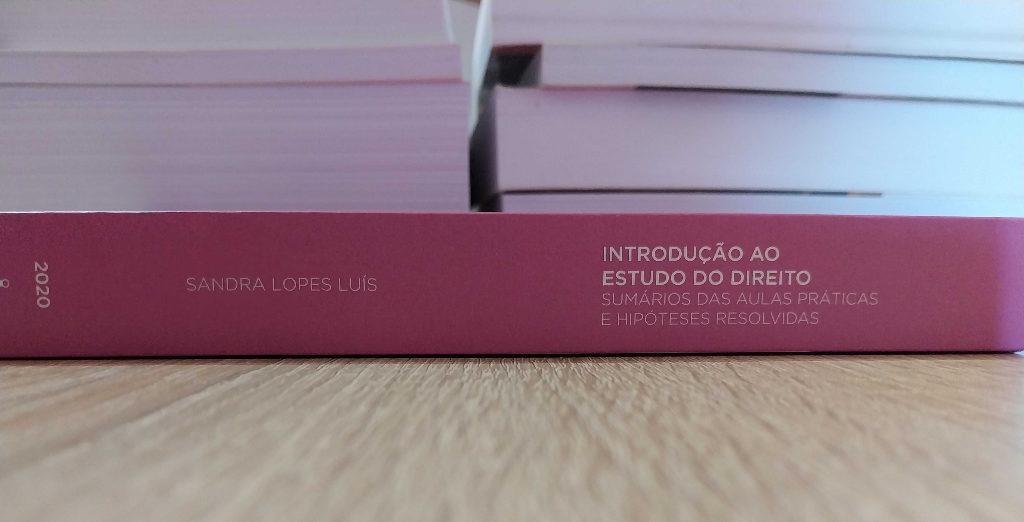 Introdução ao Estudo do Direito - Sandra Lopes Luís