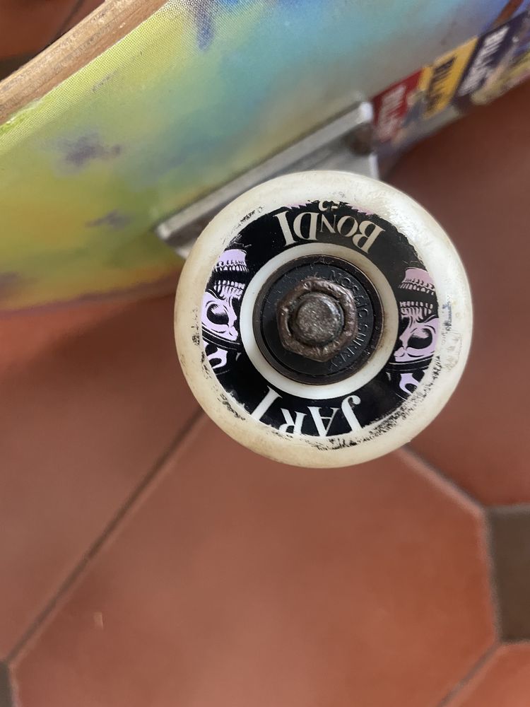 Skate bom estado