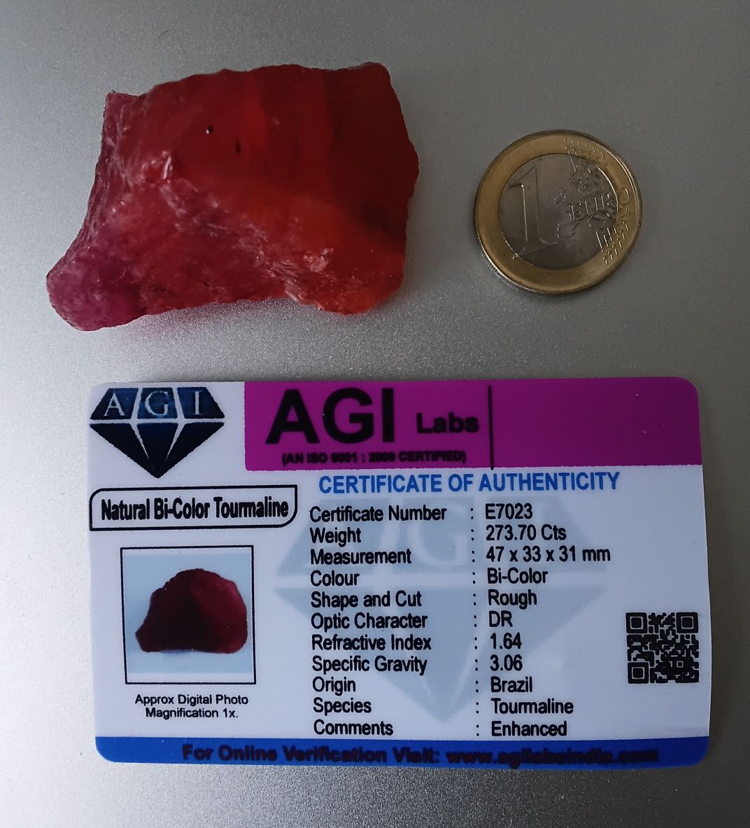 Turmalina Bicolor 273.70 ct Com Certificado