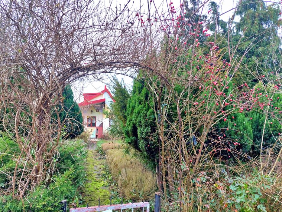 Sprzedam działkę z domkiem na ROD "Włókniarz"