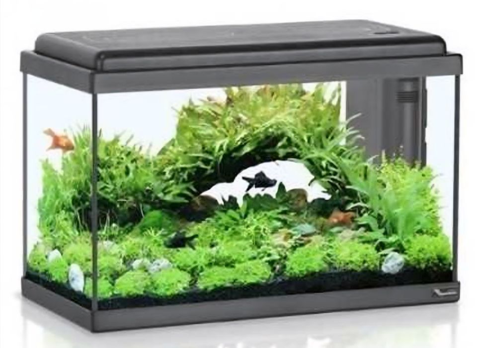 Aquários de diferentes tamanhos e modelos