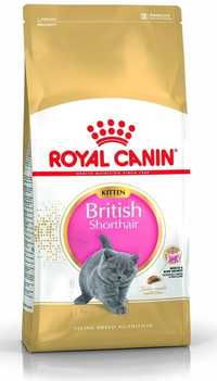 Royal 252010 British Shorthair Kitten 10kg