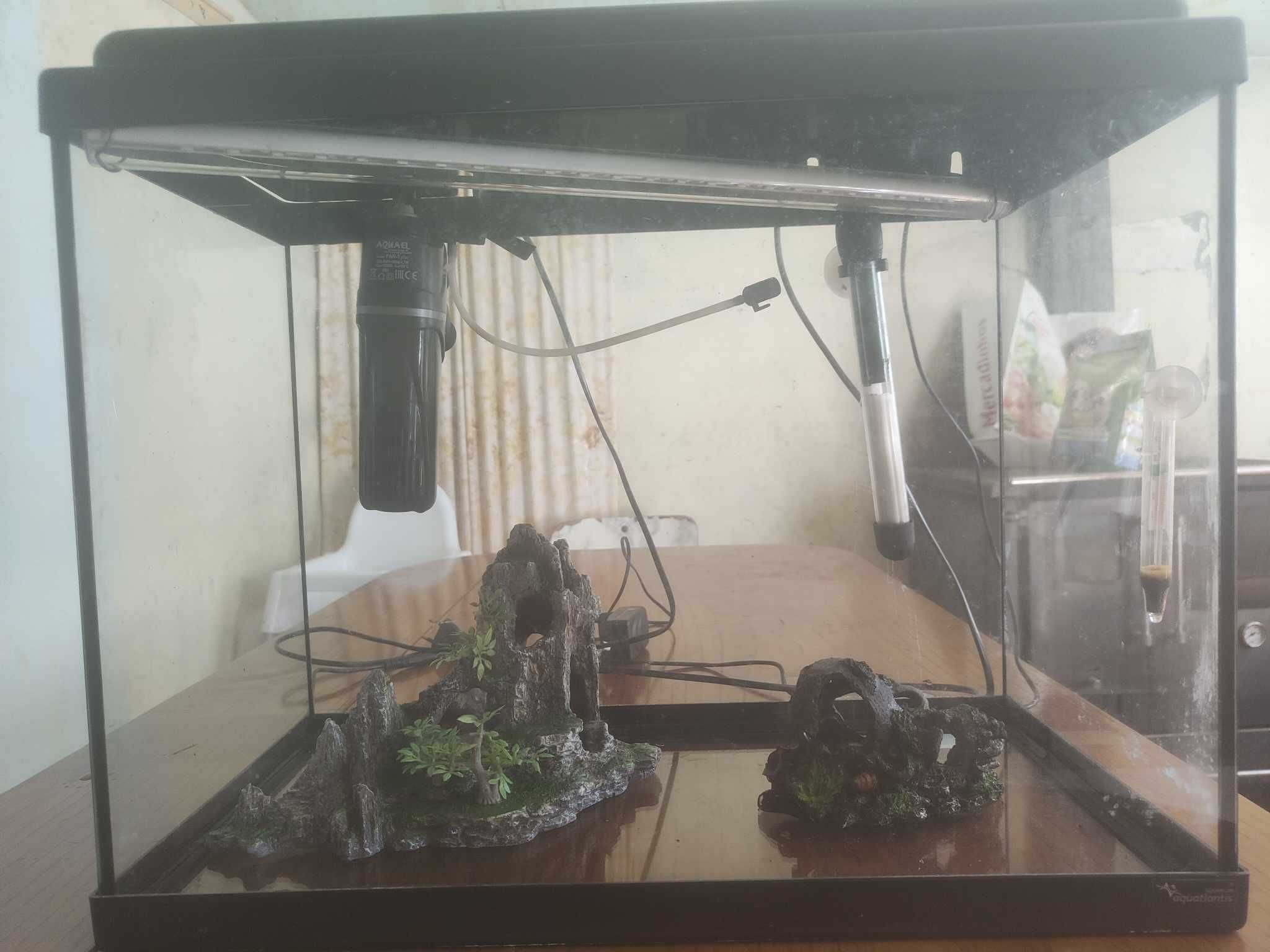 Aquario completo