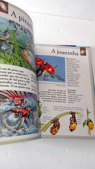 Os Animais - Imagem