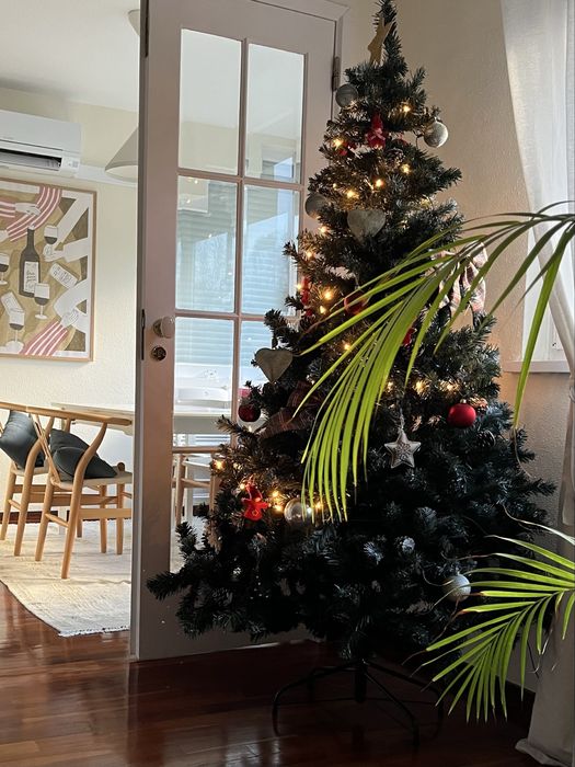 Arvore de Natal em otimo estado