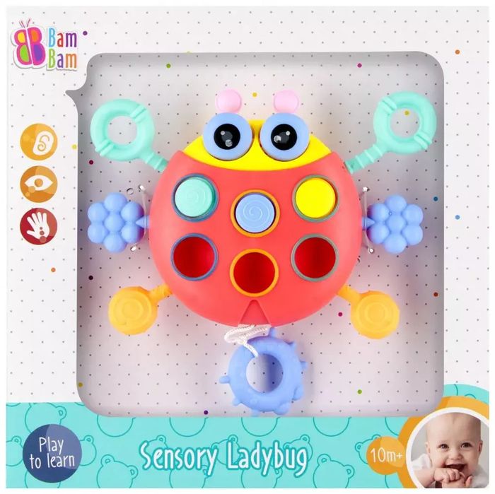Sensoryczna biedronka. Bam Bam