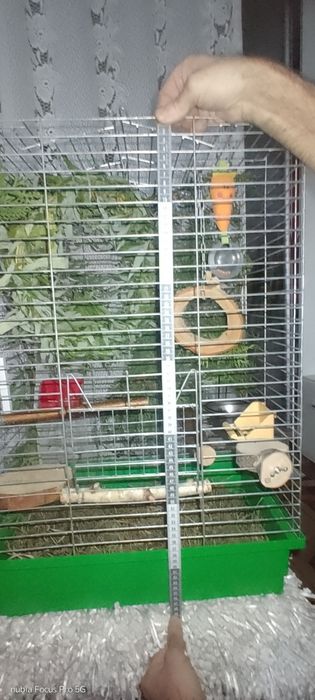 Клітка для пташок