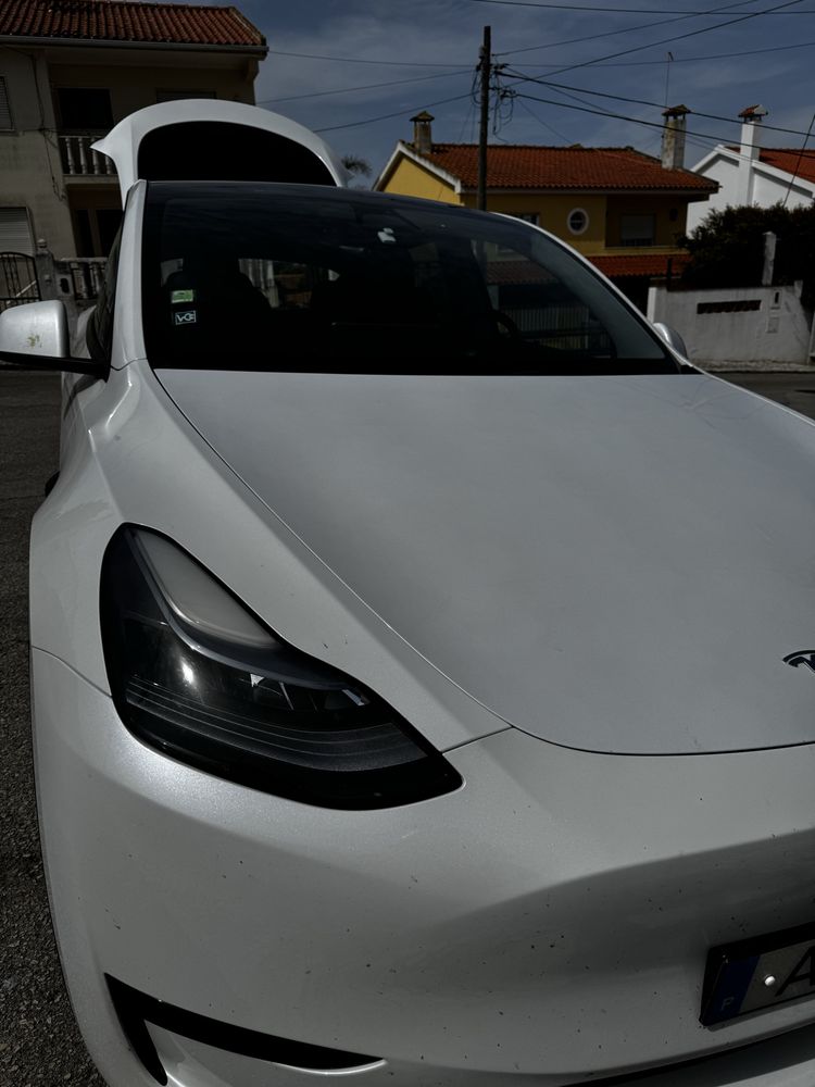 Tesla Model Y RWD