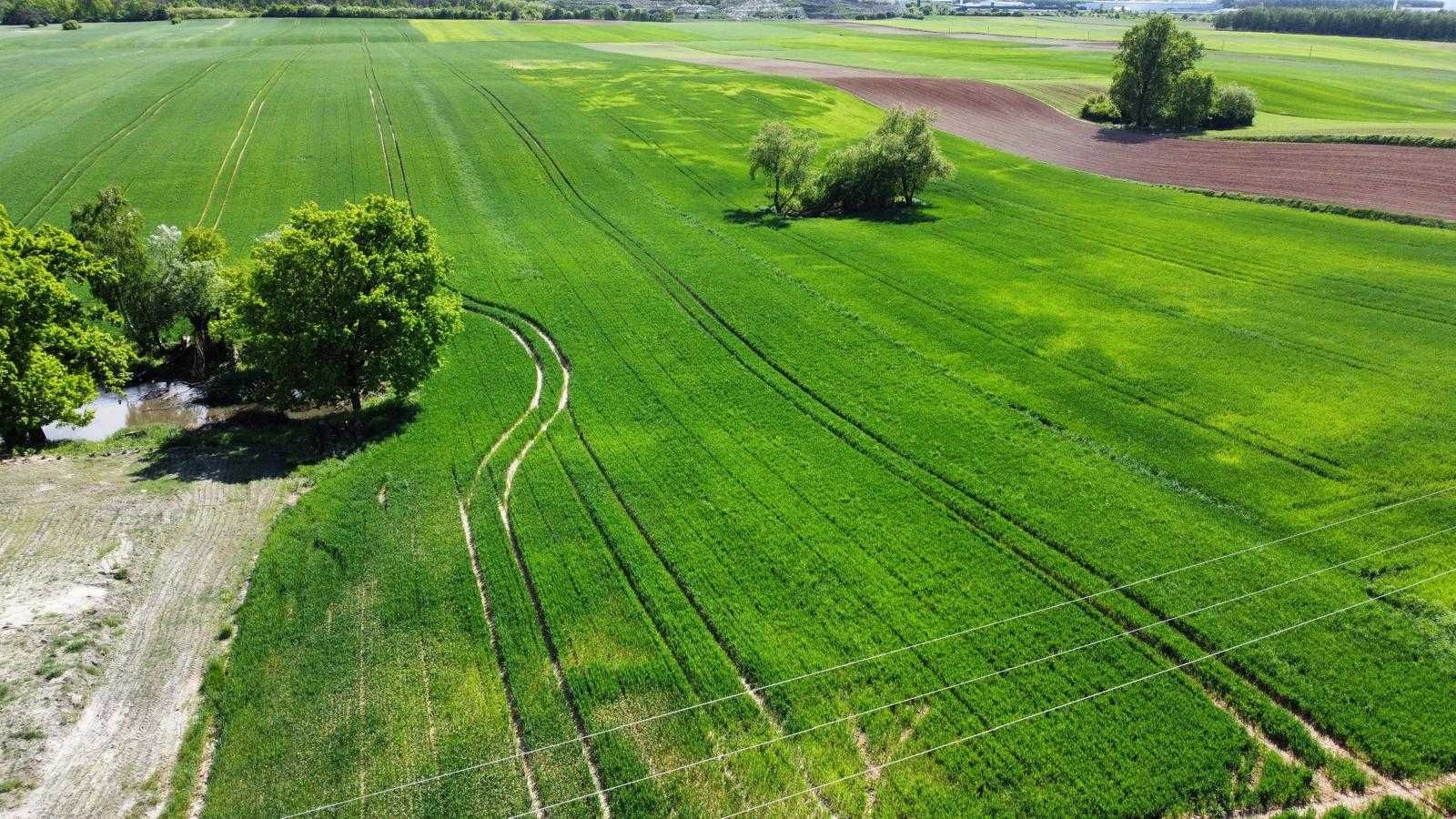 Działka budowlana 1771m2 Machnacz z Warunkami zabudowy Brześć Kujawski