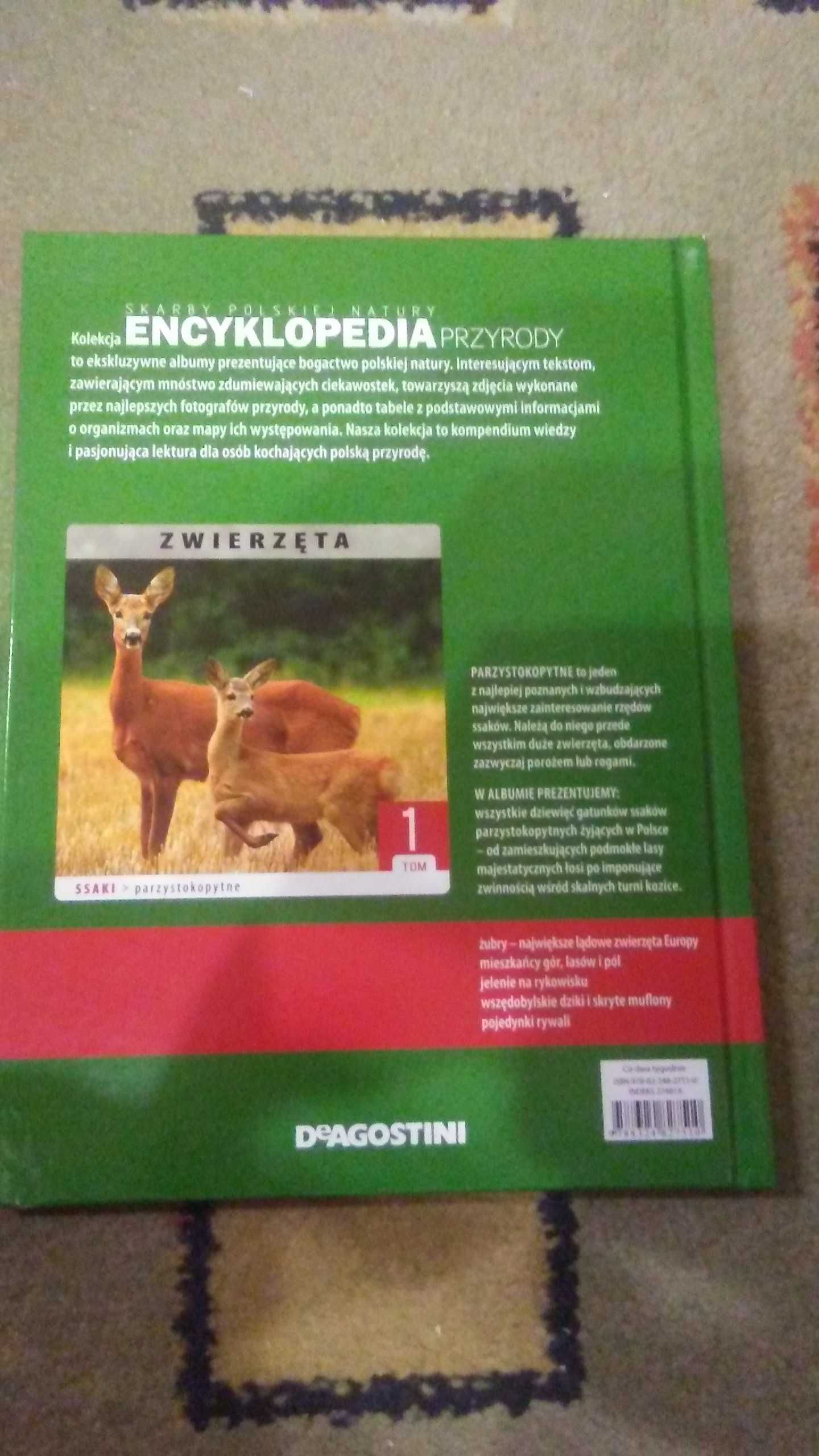 encyklopedia przyrody tom1 zwierzęta nowe