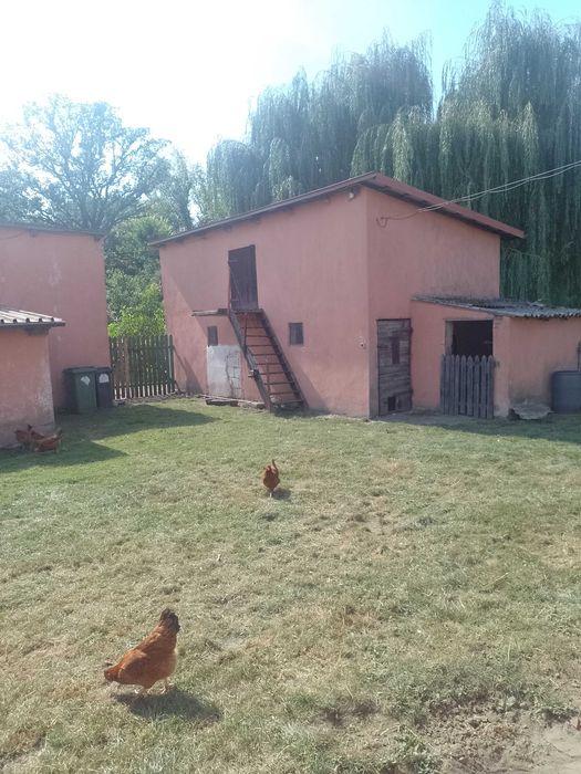Sprzedam dom w pięknej okolicy sąsiadującej z rezerwatem przyrody.