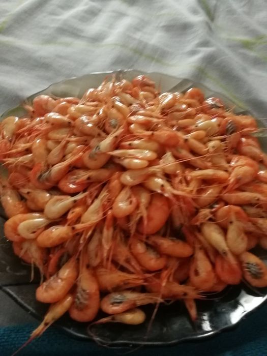 Креветка черноморская и дунайская