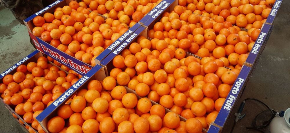 Оптовий продаж мандарин з Греції