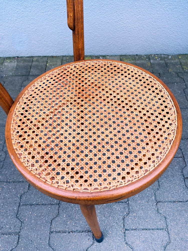 Zestaw kultowych krzeseł w stylu Thonet