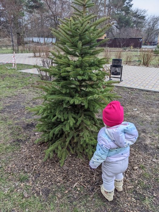 Няня для вашої дитини.