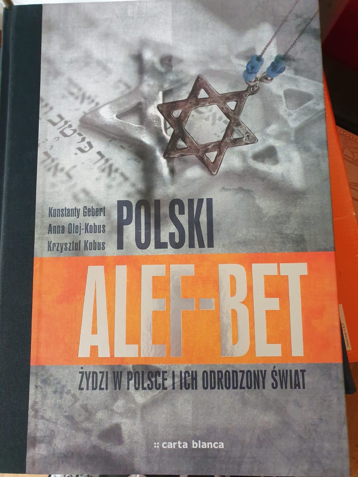 Polski Alef-bet Żydzi w Polsce i ich odrodzony świat NOWA