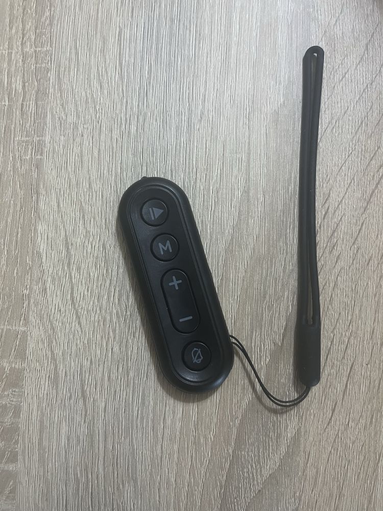Passadeira Eletrica