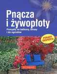 Pnącza I Żywopłoty Tanja  Ratsch