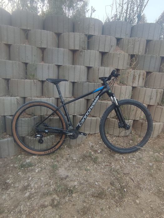 Cannondale Trail 7