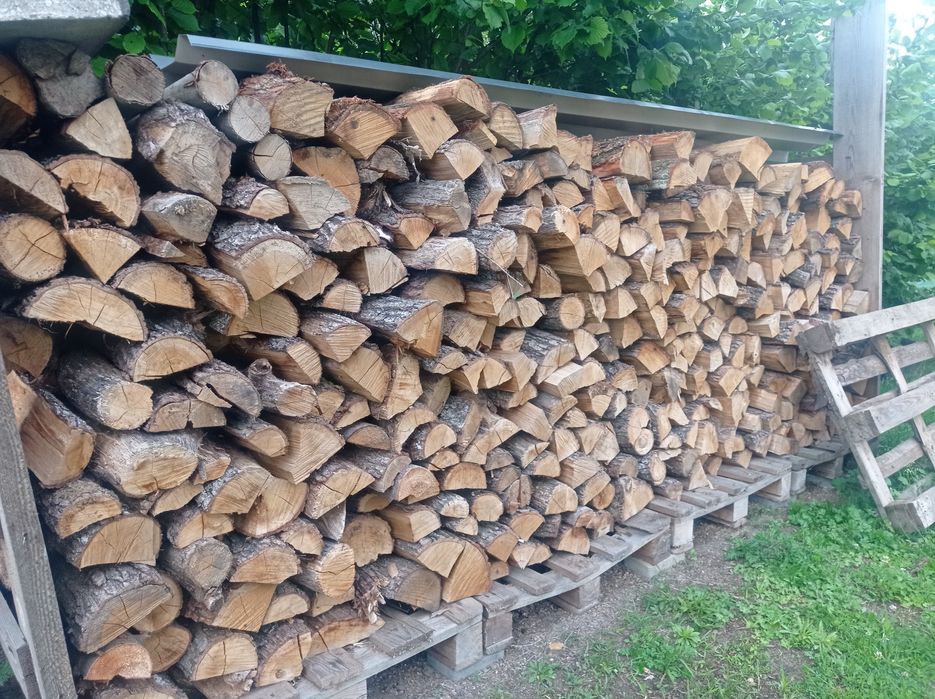 Dąb Buk Brzoza Opał