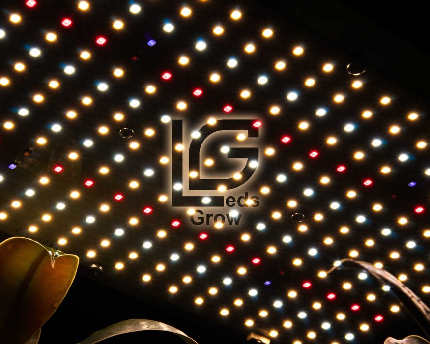 130W Quantum Board SAMSUNG фитолампа фито квантум борд лампа lm281b+