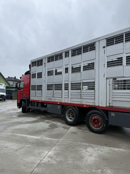 Volvo fm 410 do przewozu zwierząt do żywca zabudowa kaba 3 pokłady