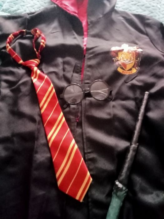 Disfarce carnaval Harry Potter