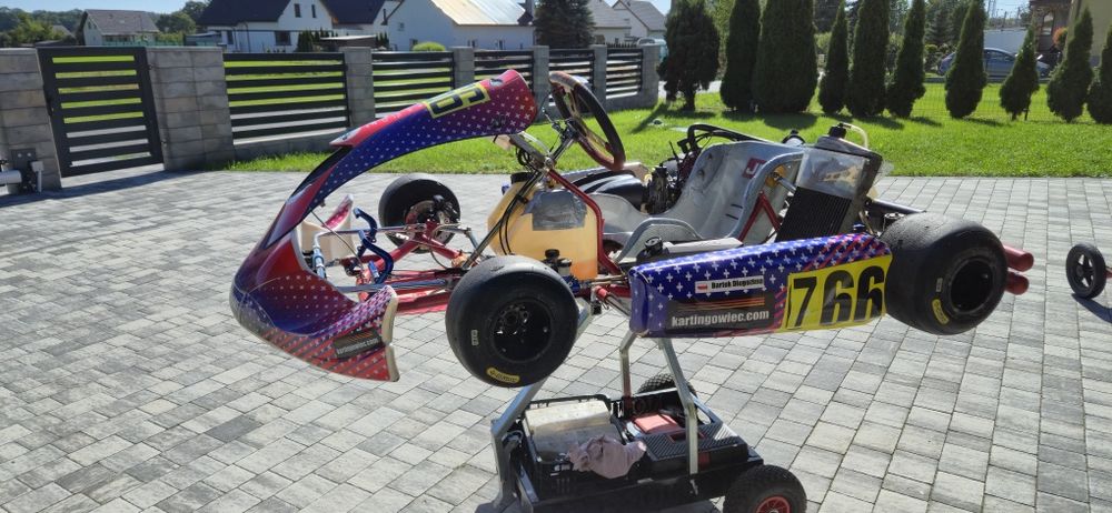 Gokart Birel Rotax DD2 evo