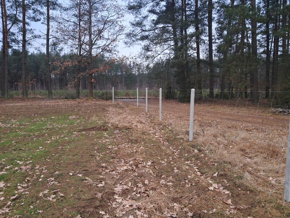 Ogrodzenie z siatki leśnej tymczasowe stałe działki siatka słupki