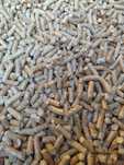 Pellet drzewny modrzew, producent, 1 tona = 67 worków