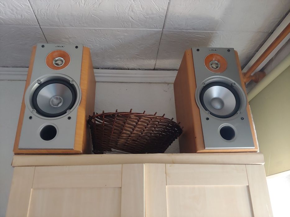 Kolumny sony ss-nx1