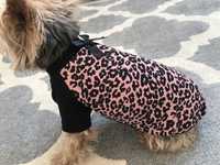 Ubranko modna bluza w panterke dla psa typu york chihuahua  S
